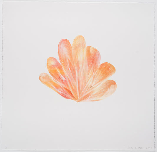 Rachel Ostrow | Tesseract (13)