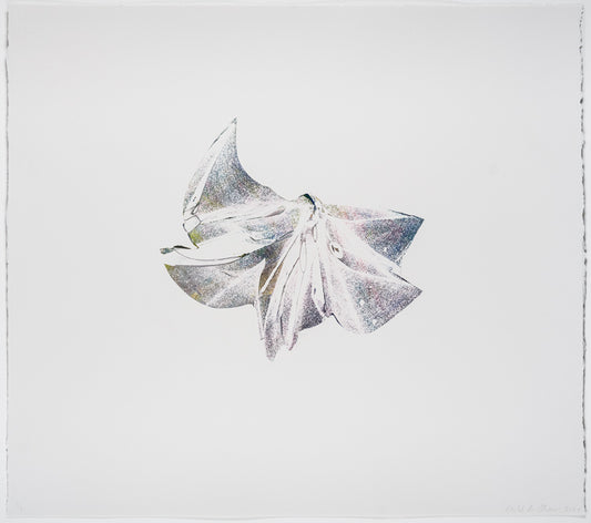 Rachel Ostrow | Tesseract (15)