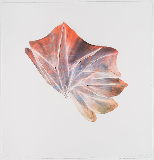 Rachel Ostrow | Tesseract (7)