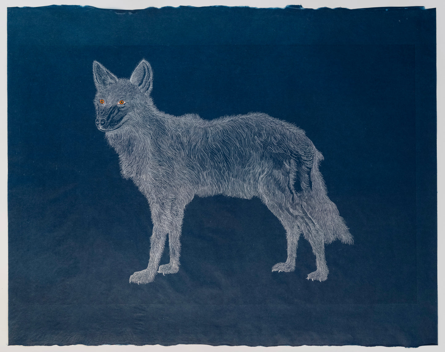 Valerie Hammond | Wolf Daughter