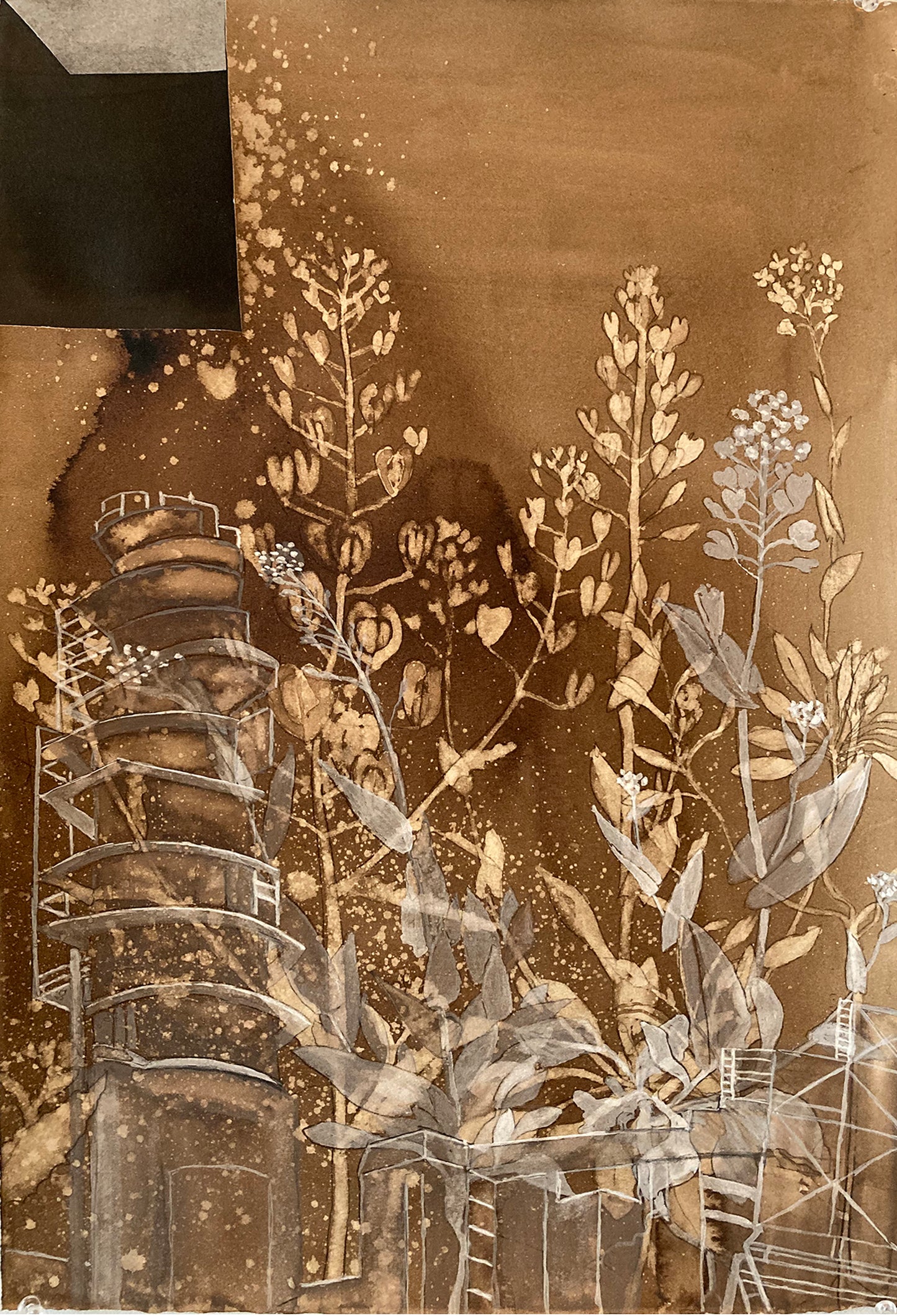 Ellen Driscoll | Pennycress