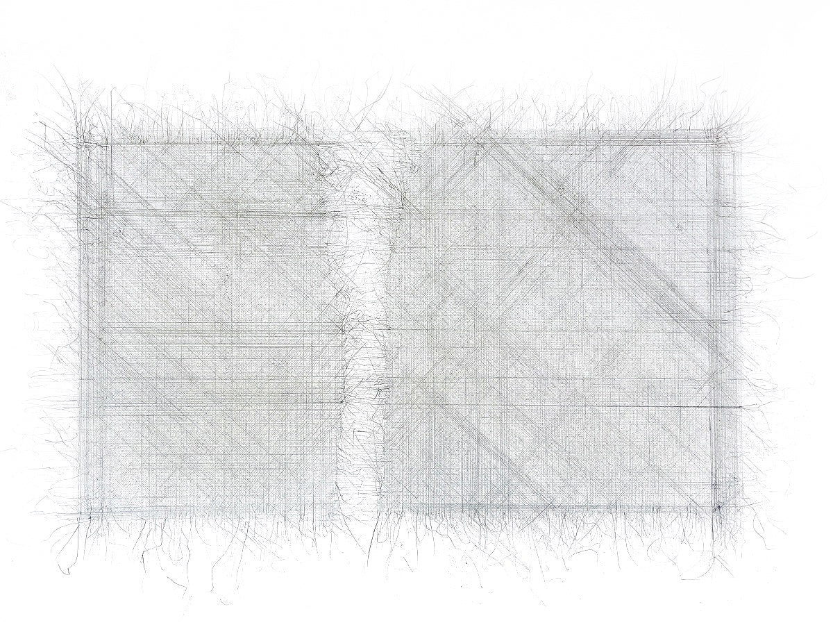 Elizabeth Duffy, Tear Drawing / Unfurl