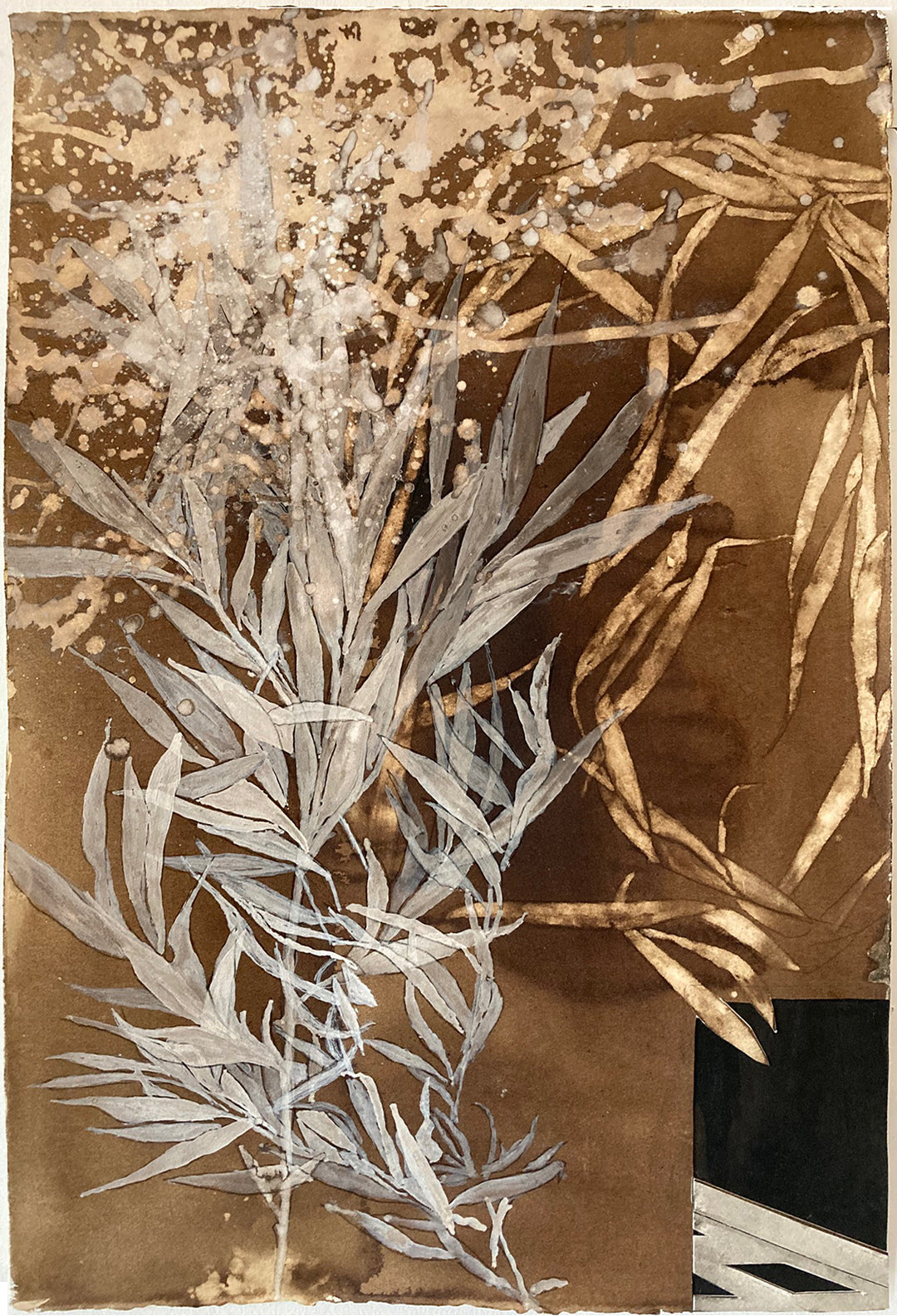 Ellen Driscoll | Willow