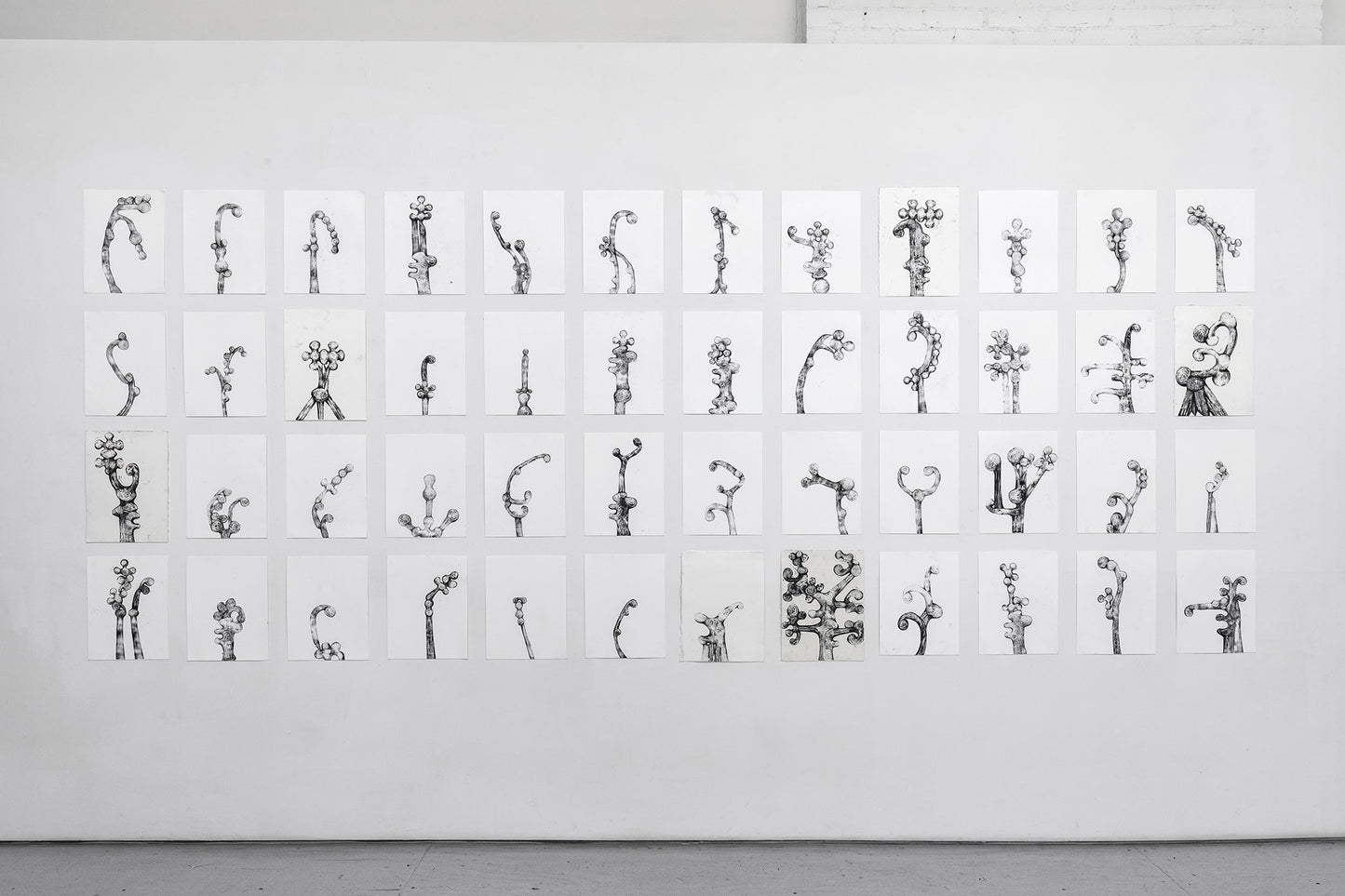 Tara Geer | Strangely Blooming
