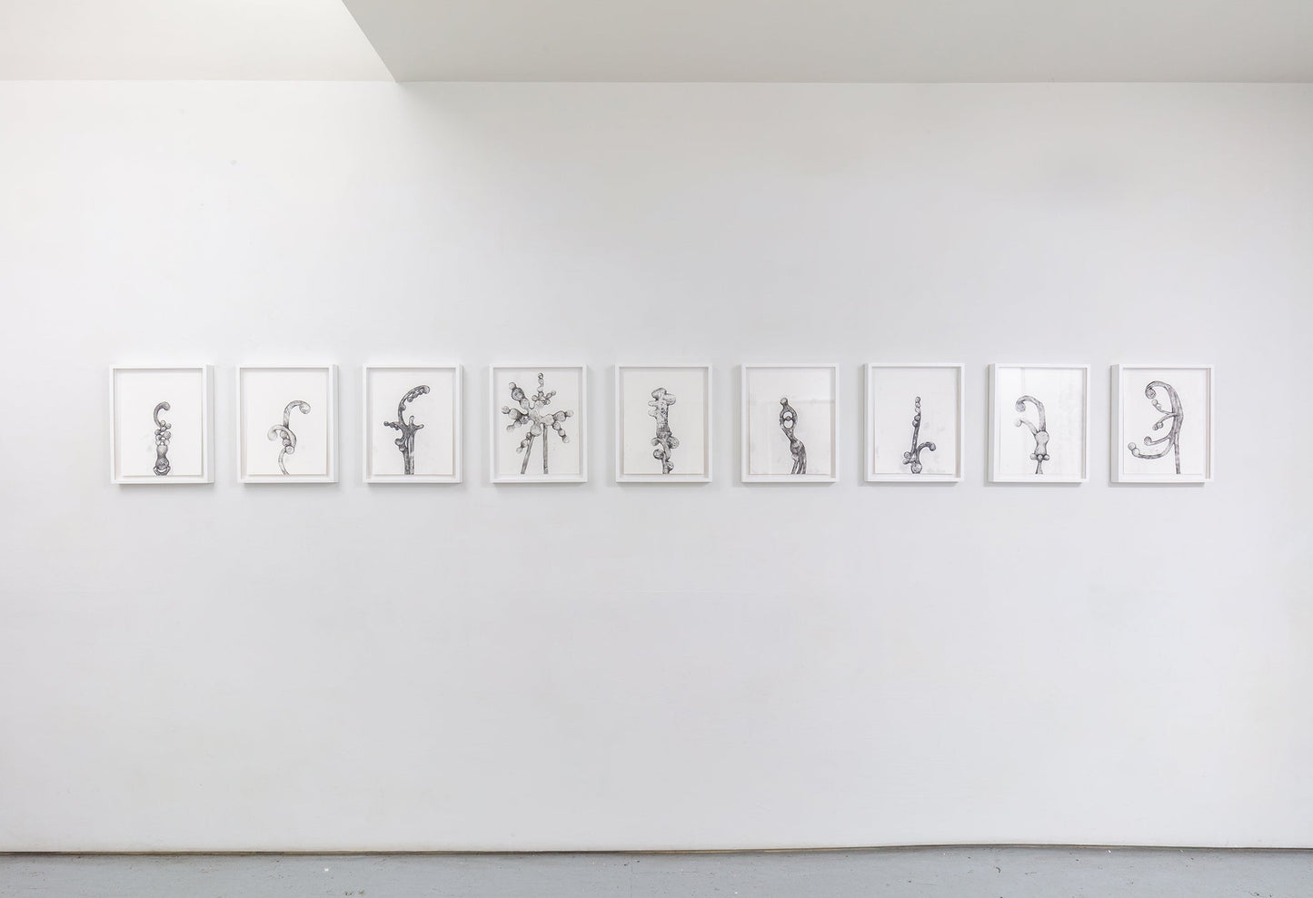 Tara Geer | Strangely Blooming