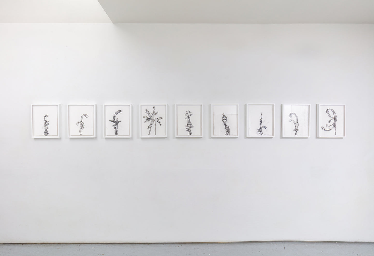 Tara Geer | Strangely Blooming