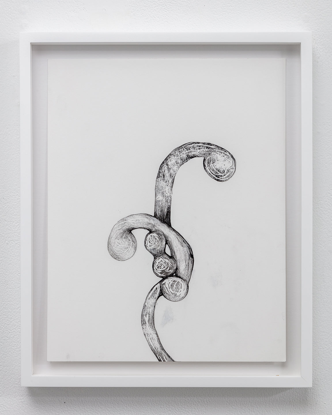 Tara Geer | Strangely Blooming