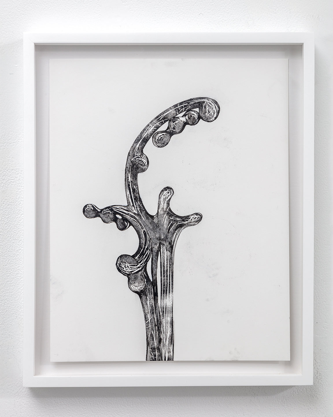 Tara Geer | Strangely Blooming