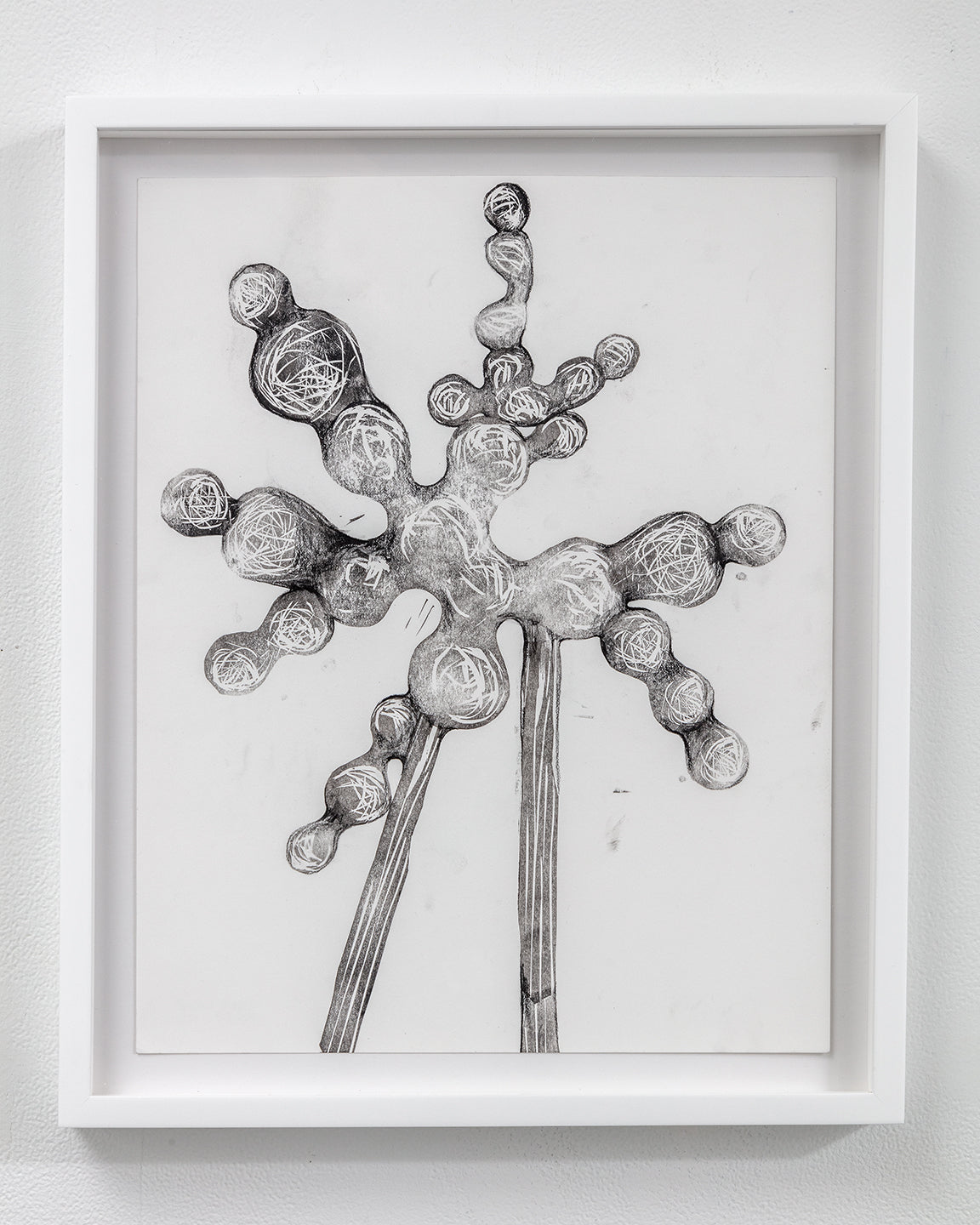 Tara Geer | Strangely Blooming