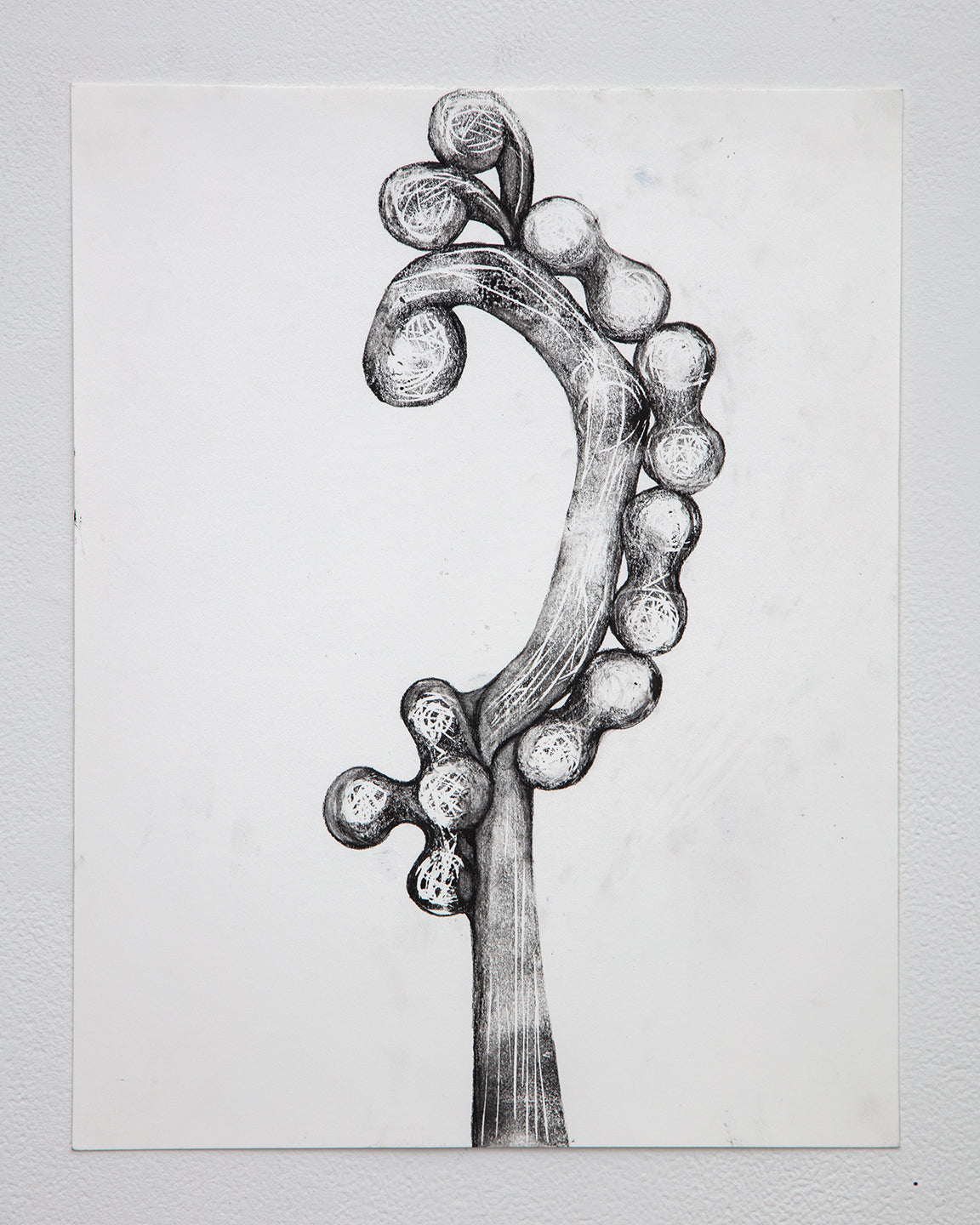 Tara Geer | Strangely Blooming