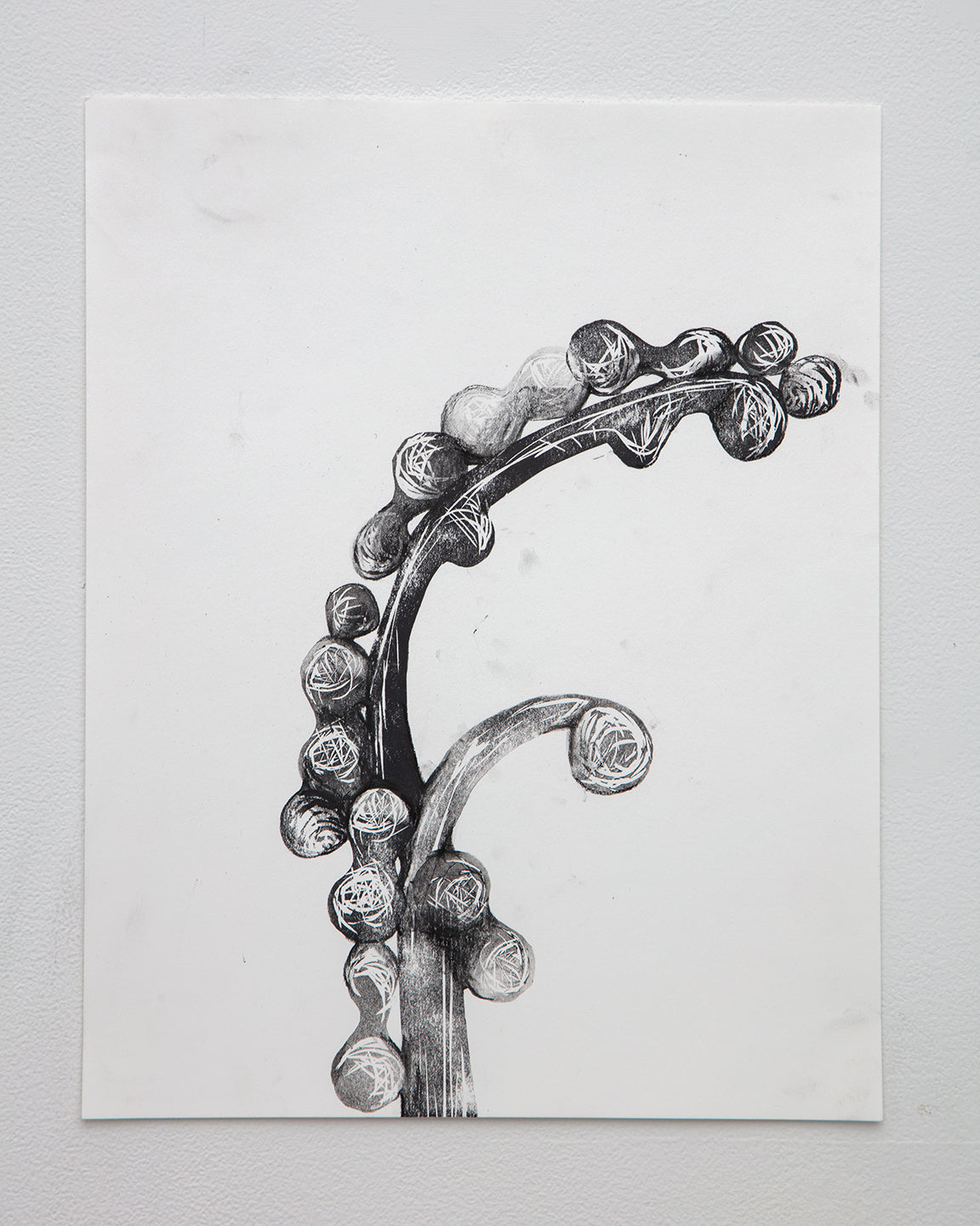 Tara Geer | Strangely Blooming