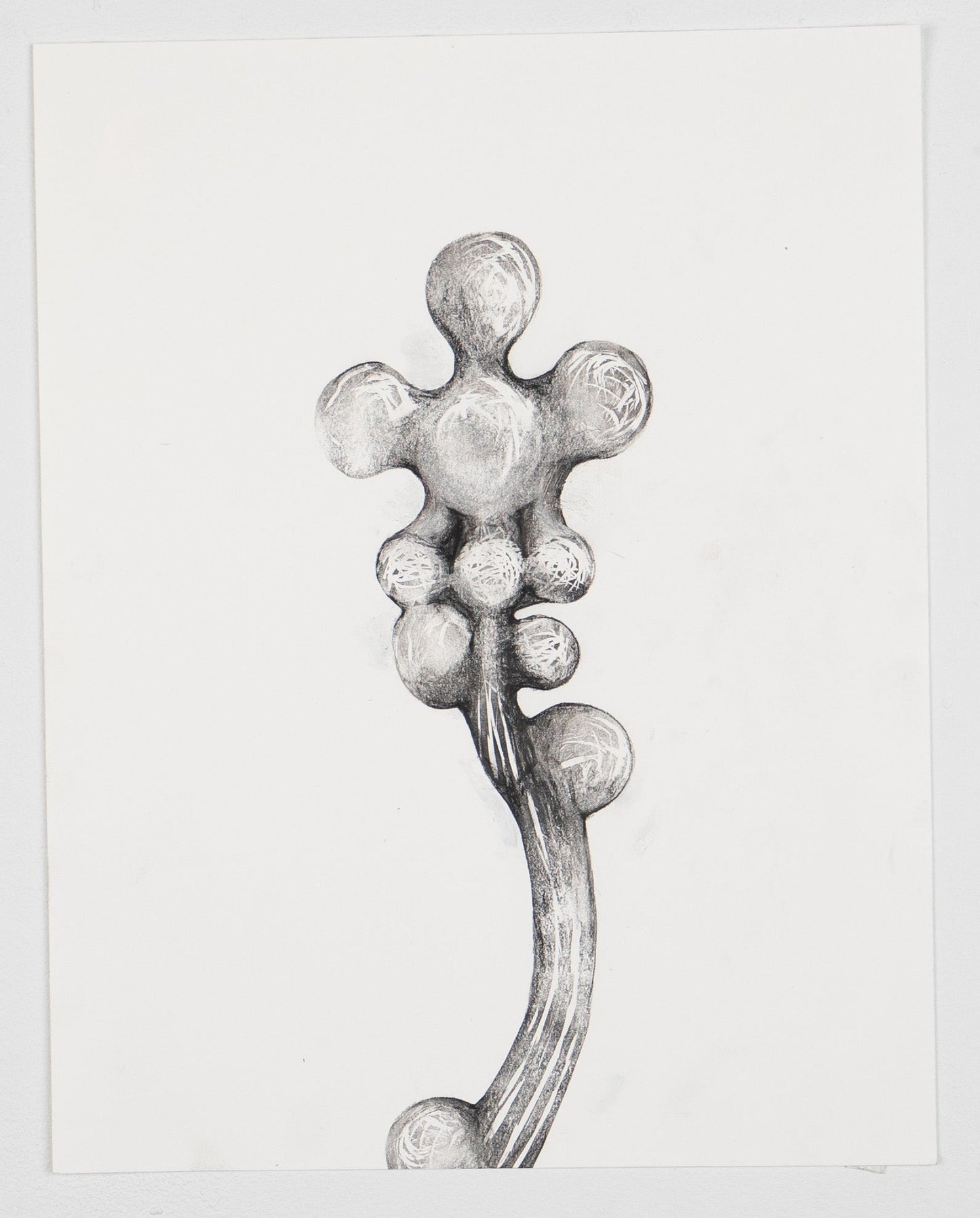 Tara Geer | Strangely Blooming