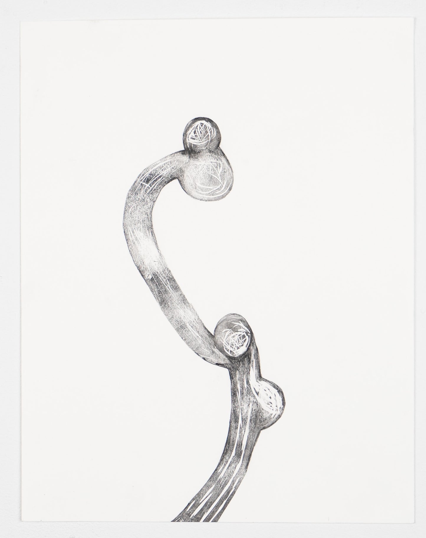 Tara Geer | Strangely Blooming