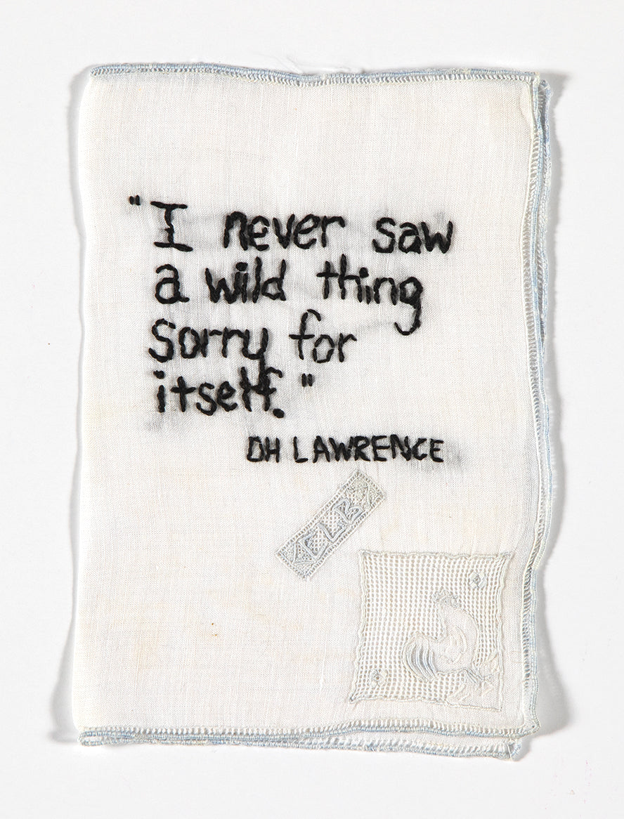 Diana Weymar |  Tiny Pricks Project | I Never Saw