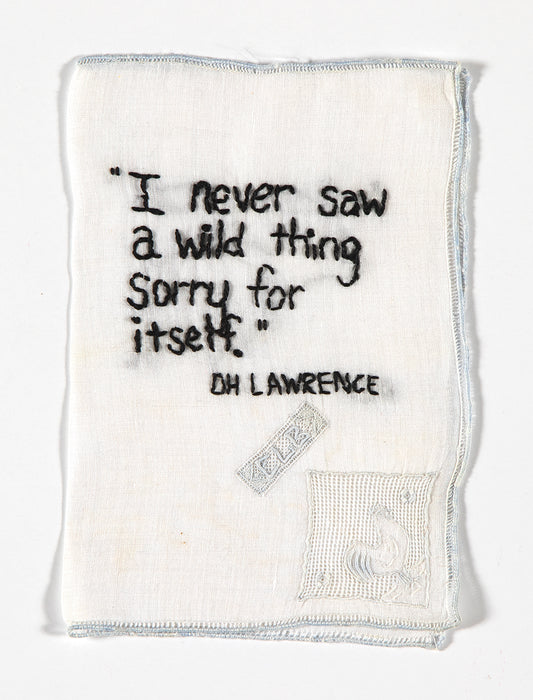 Diana Weymar |  Tiny Pricks Project | I Never Saw