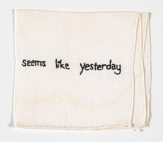 Diana Weymar |  Tiny Pricks Project | Seems Like Yesterday