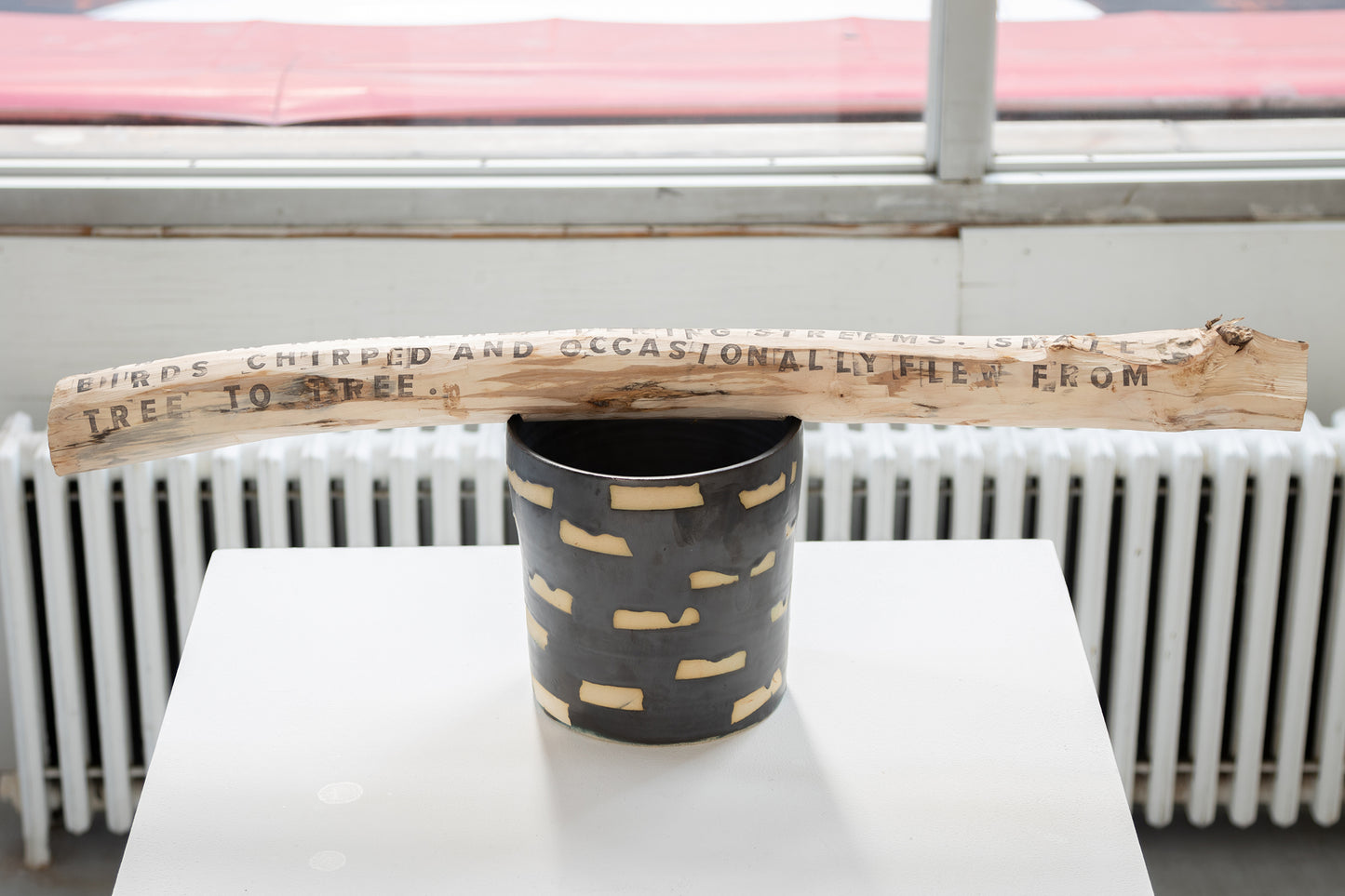 Janis Stemmermann | Tree to Tree Sapling and Cylinder