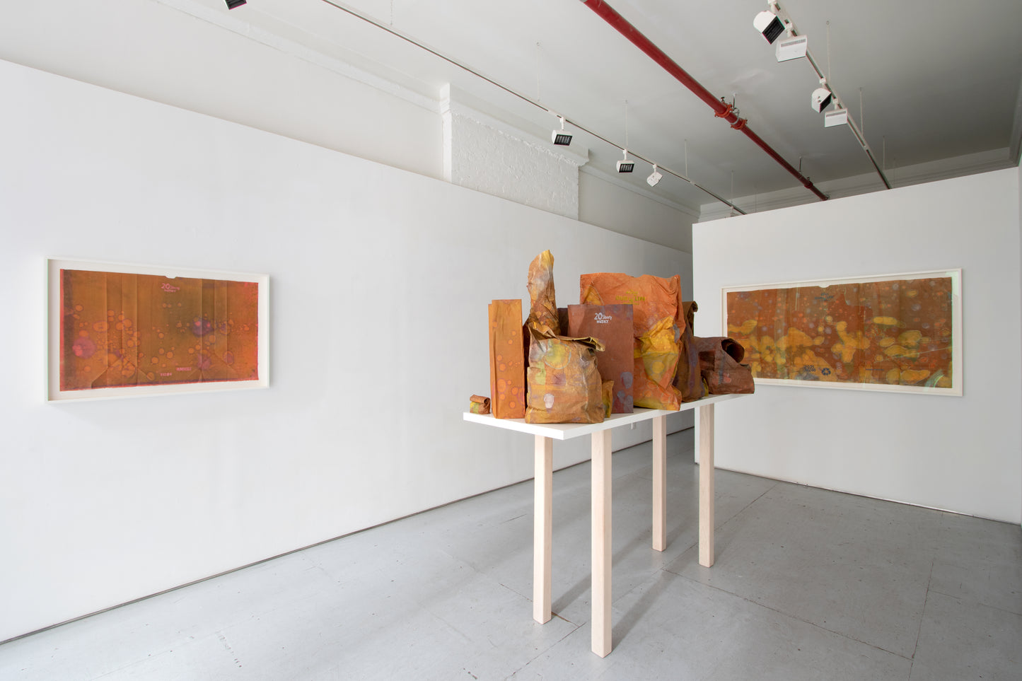 Anders Bergstrom | Husky Shorty #5