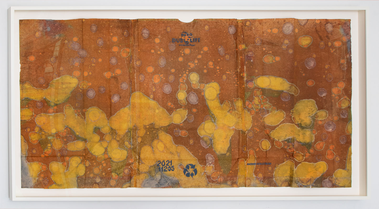 Anders Bergstrom | Double Life, Large #4