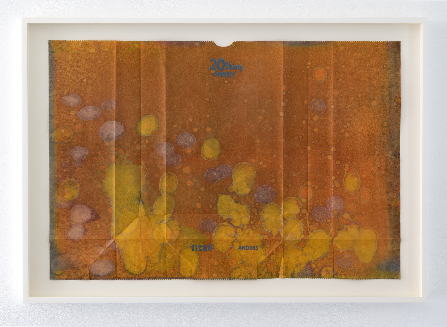 Anders Bergstrom | Husky Shorty #4