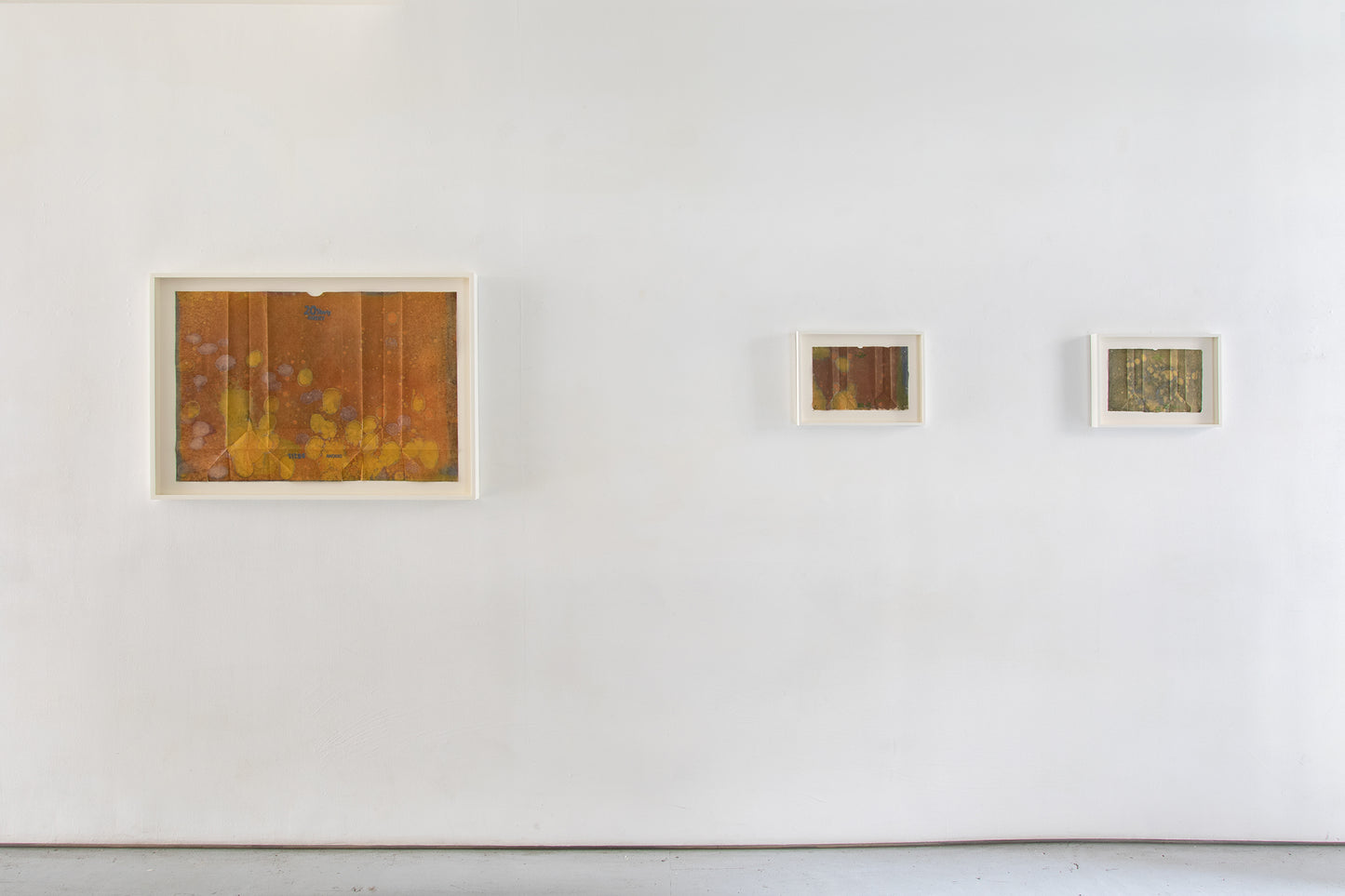 Anders Bergstrom | Husky Shorty #4