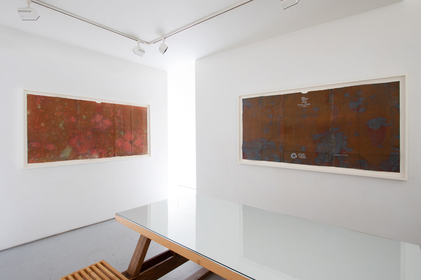 Anders Bergstrom | Double Life, Large #5