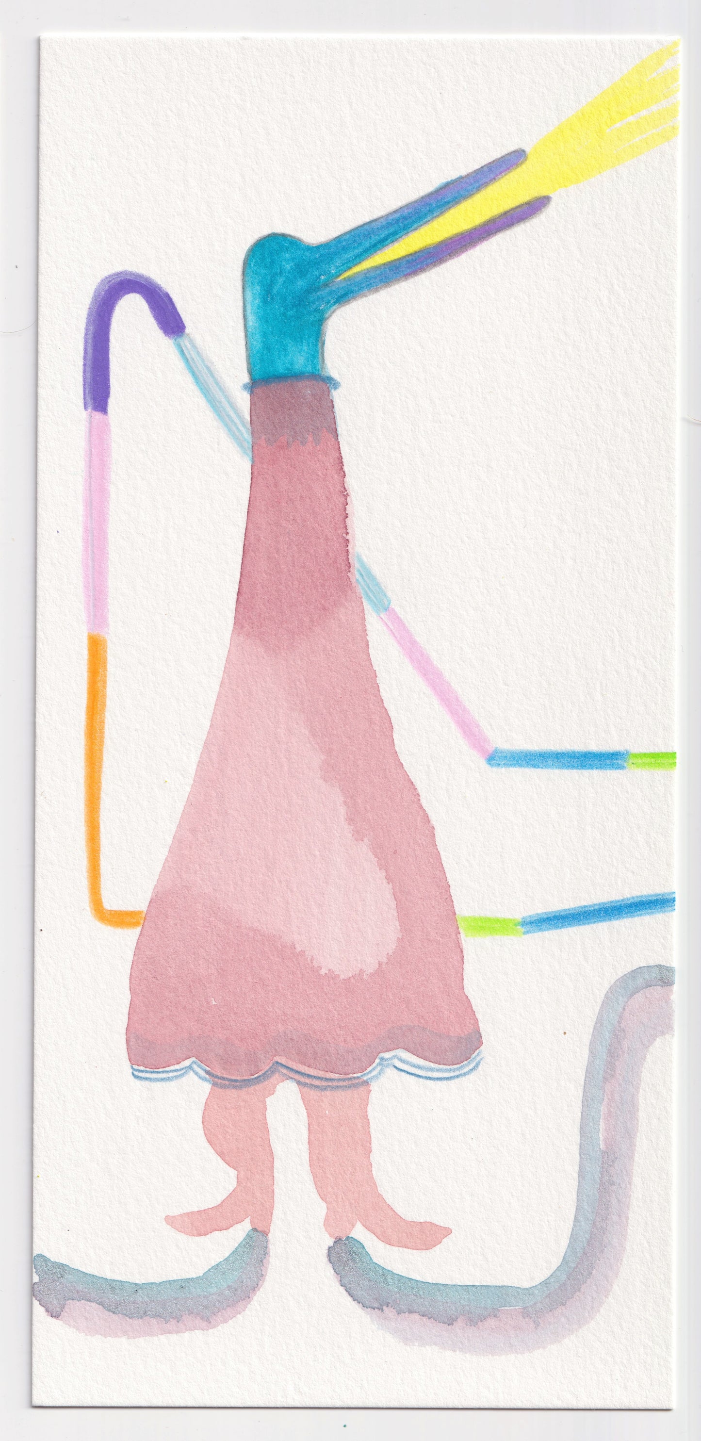 Juan Pablo Baene | The Dance of the Coyongos