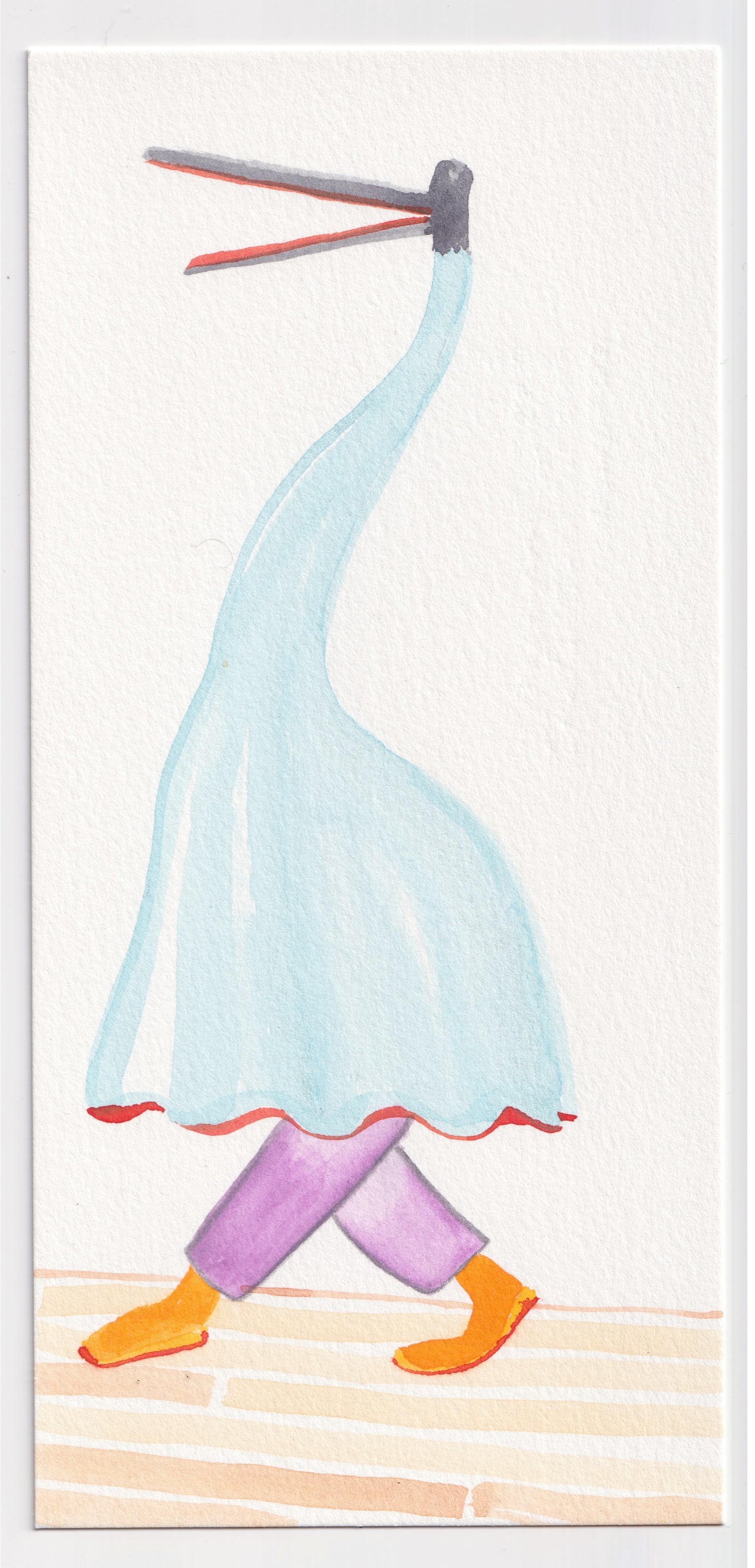 Juan Pablo Baene | The Dance of the Coyongos