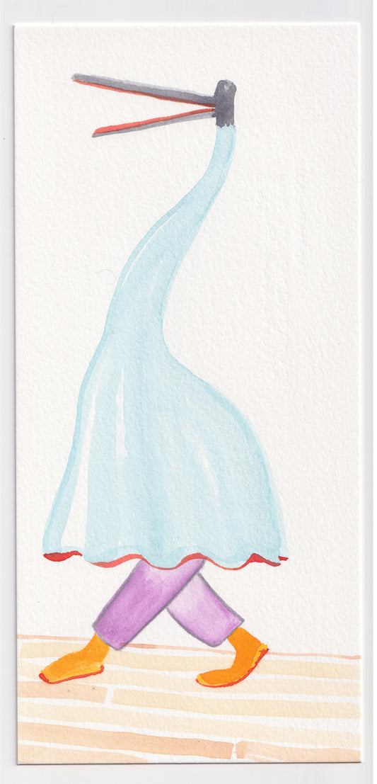 Juan Pablo Baene | The Dance of the Coyongos