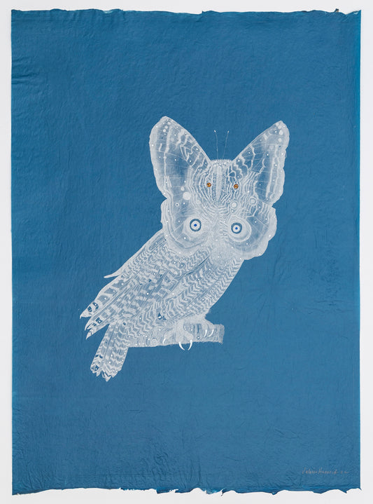 Valerie Hammond | Chimera (Owl Moth), 2023