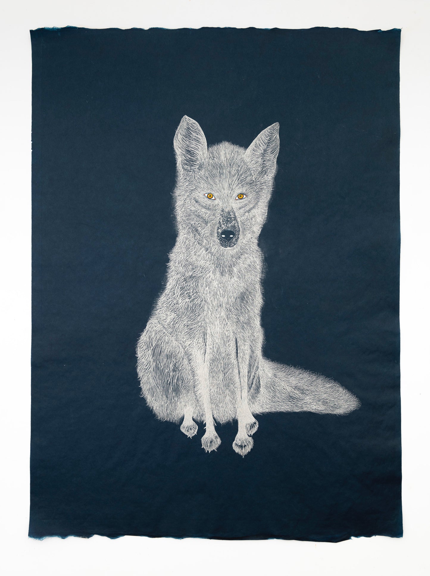 Valerie Hammond | Chimera (Fox, Brown Eyes), 2025