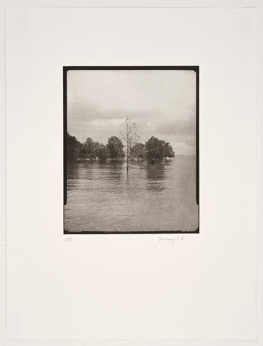 Channel | Simryn Gill