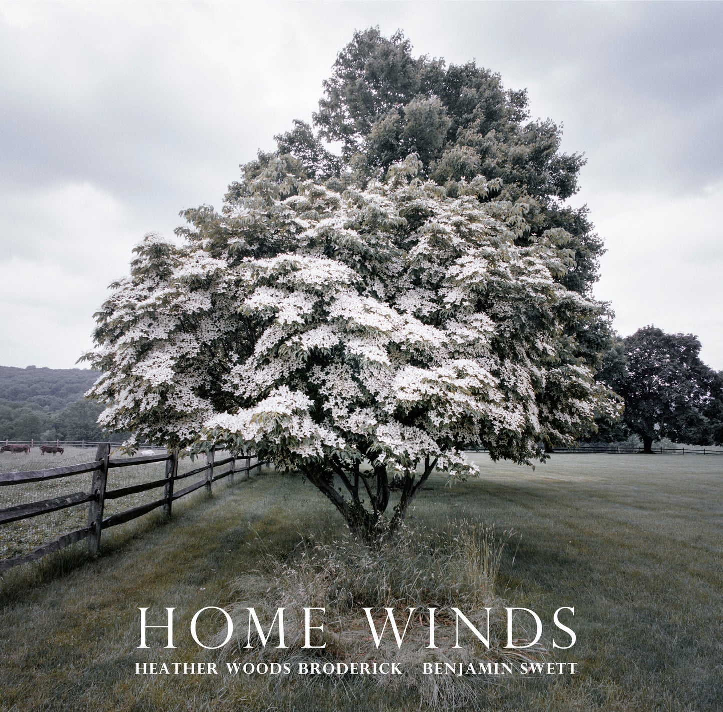 Home Winds