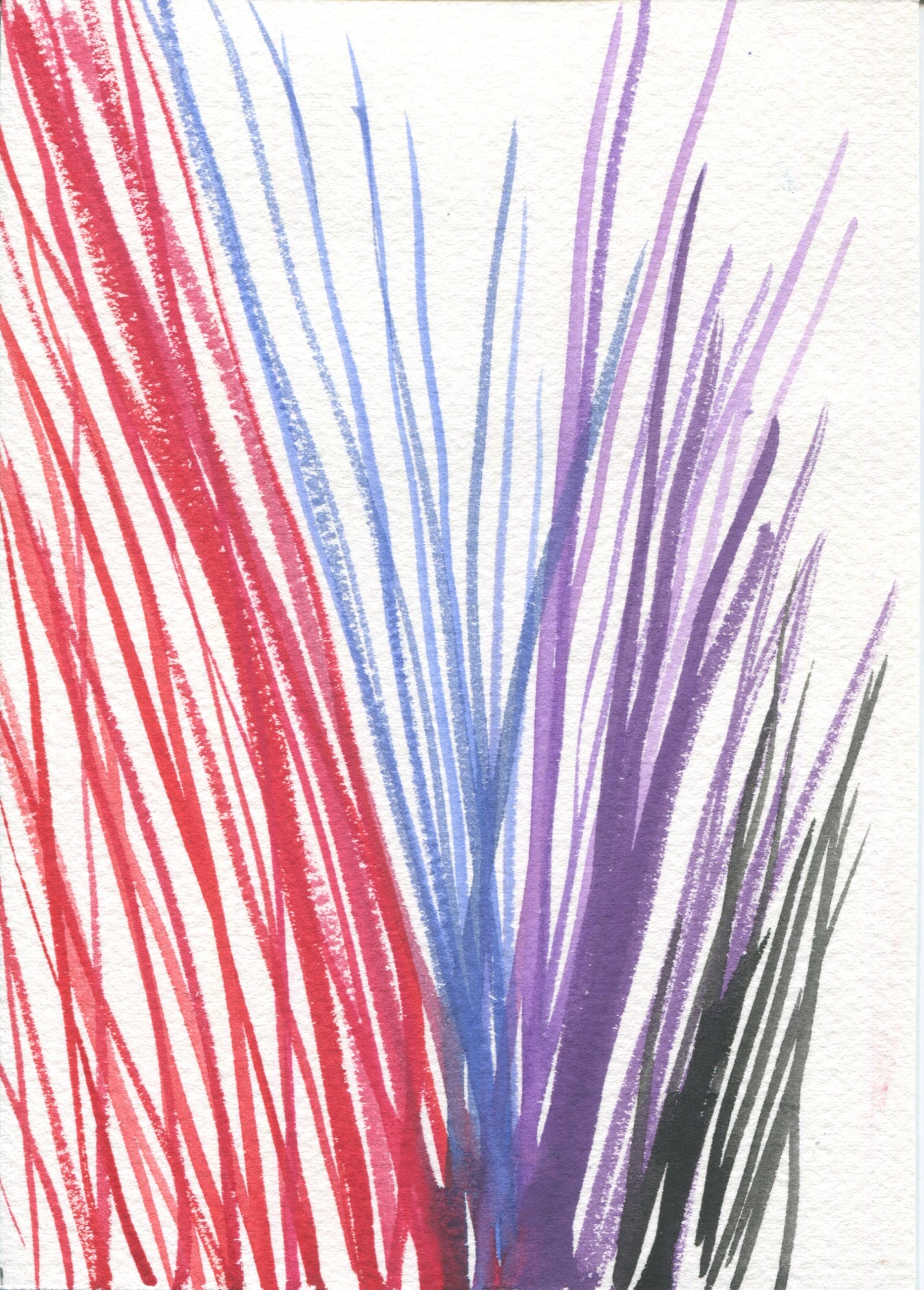 Anne Patterson, Year of Wonder, Jan 1-7, 2020