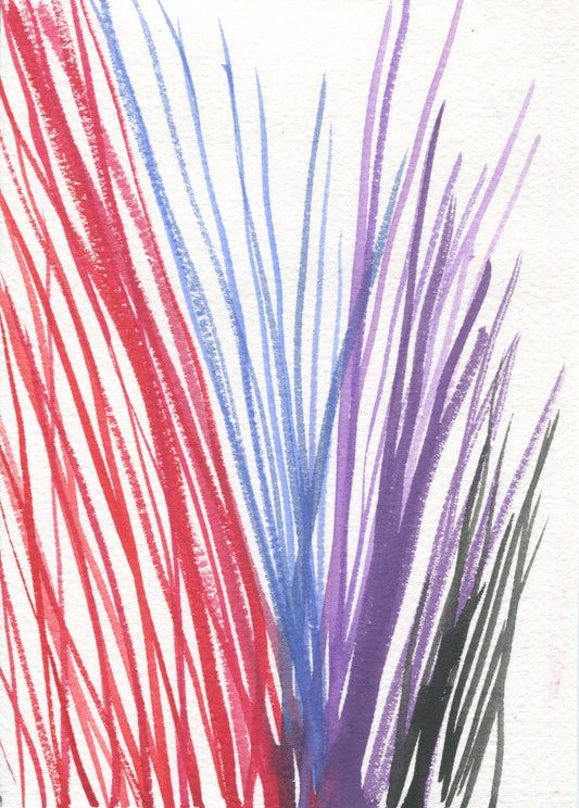 Anne Patterson | Year of Wonder - January