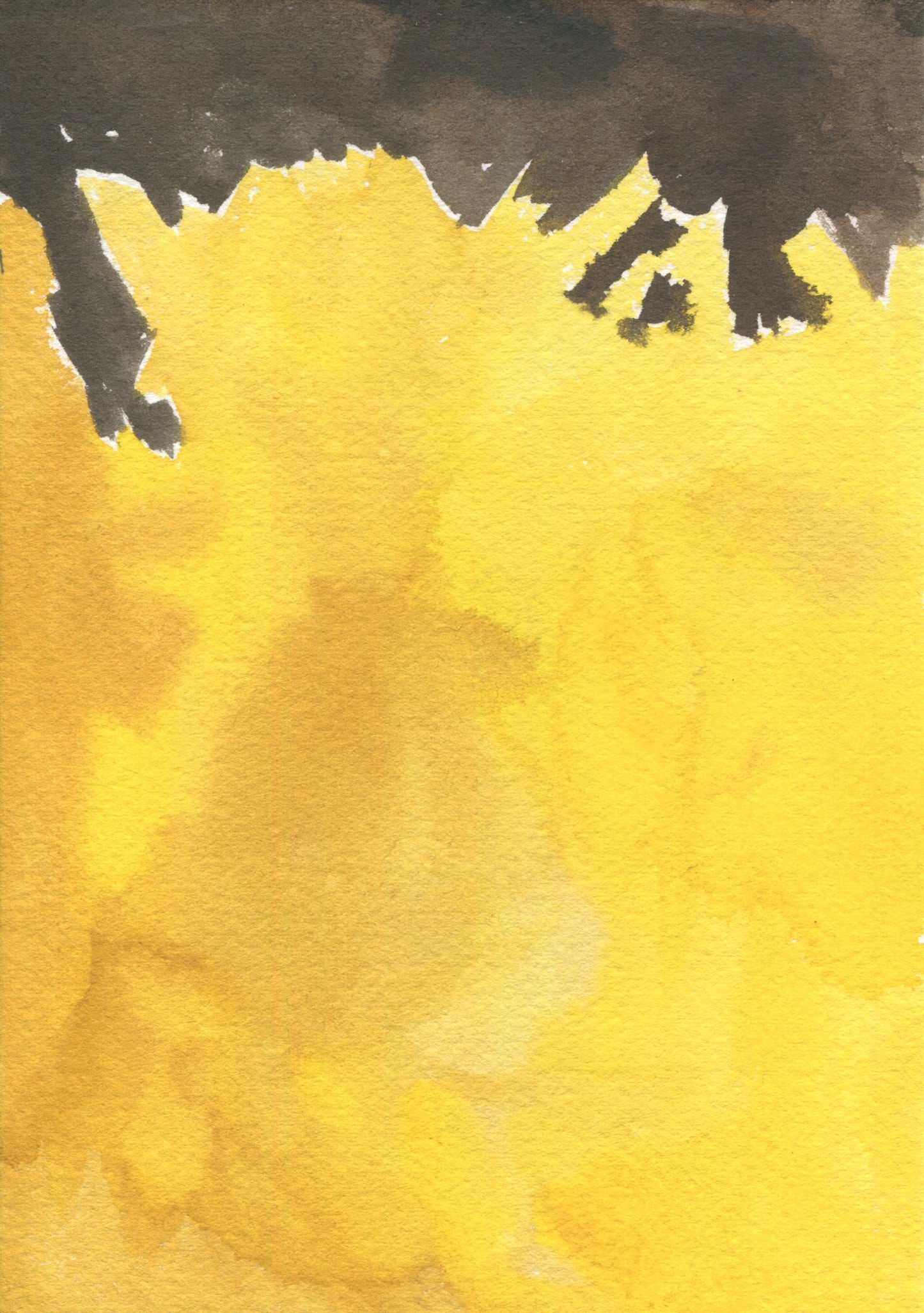 Anne Patterson, Year of Wonder, Jan 1-7, 2020