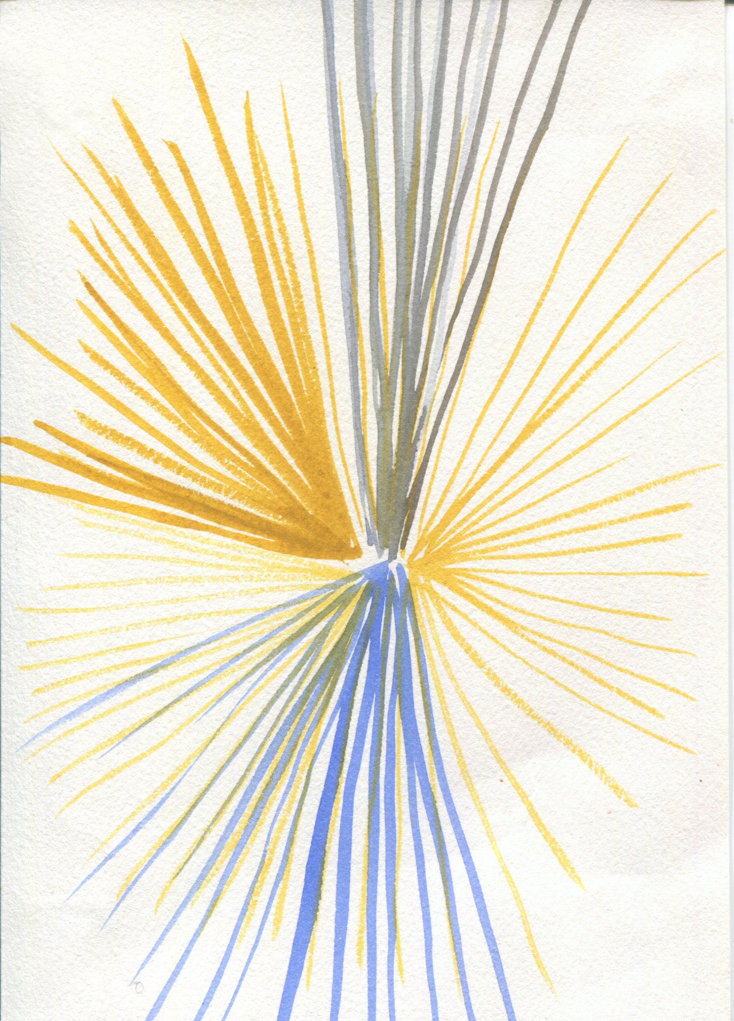 Anne Patterson, Year of Wonder, Jan 1-7, 2020