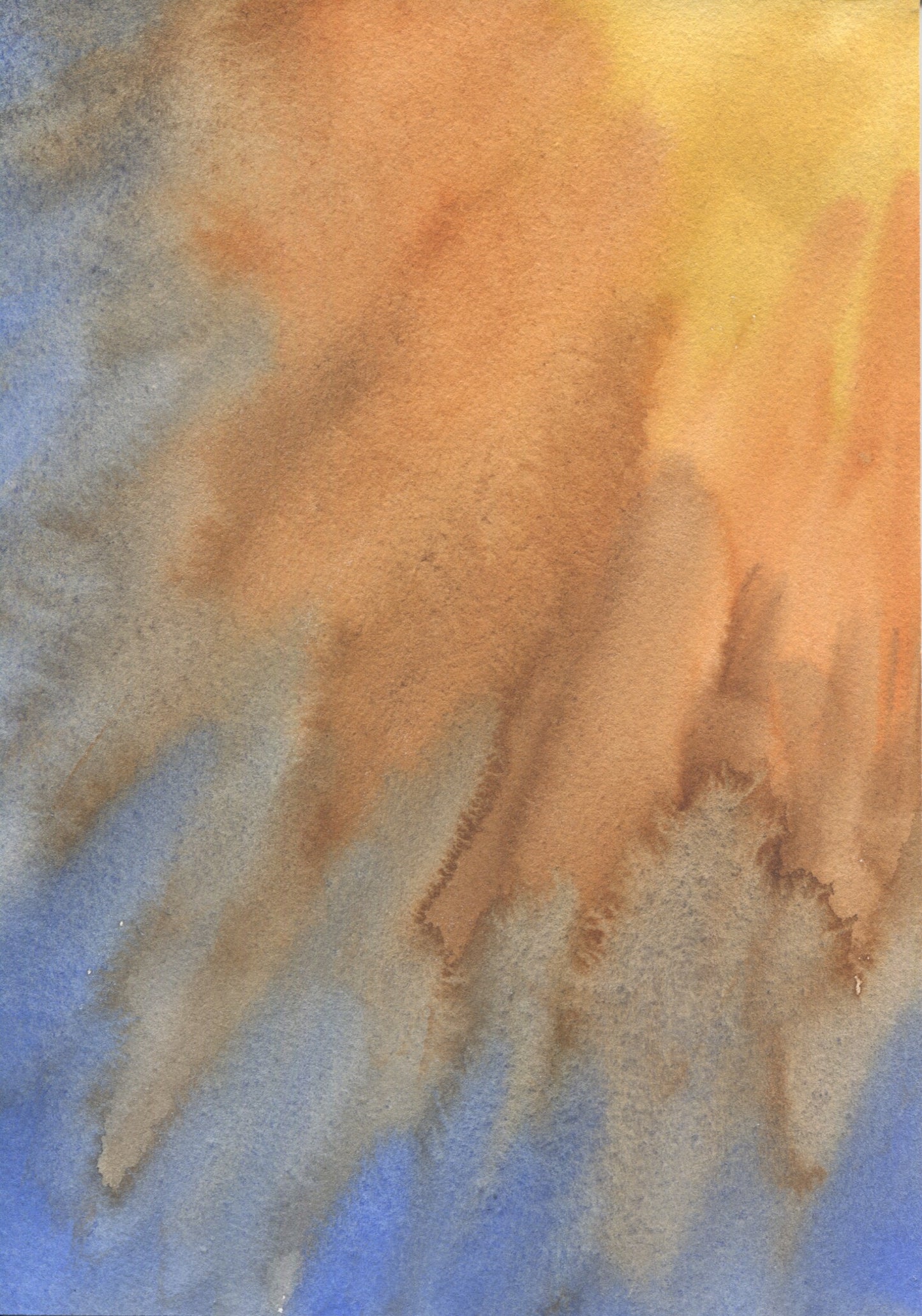 Anne Patterson, Year of Wonder, Jan 1-7, 2020