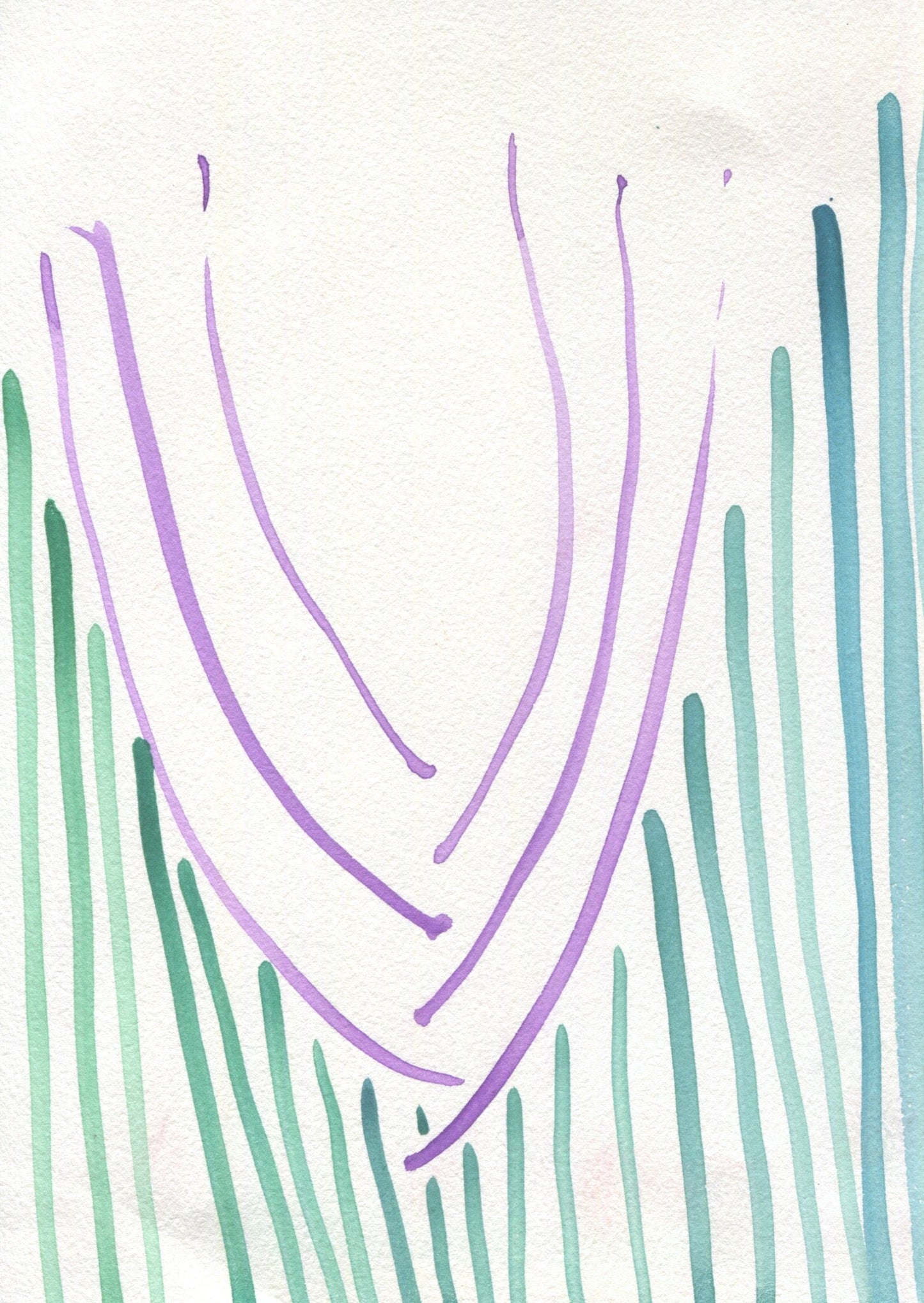 Anne Patterson, Year of Wonder, Jan 8-14, 2020