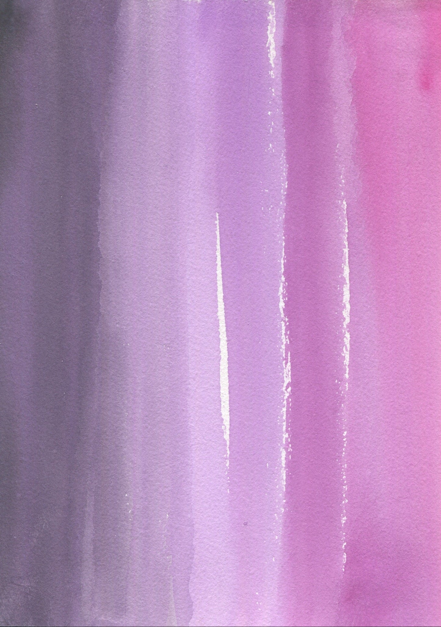 Anne Patterson, Year of Wonder, Jan 8-14, 2020