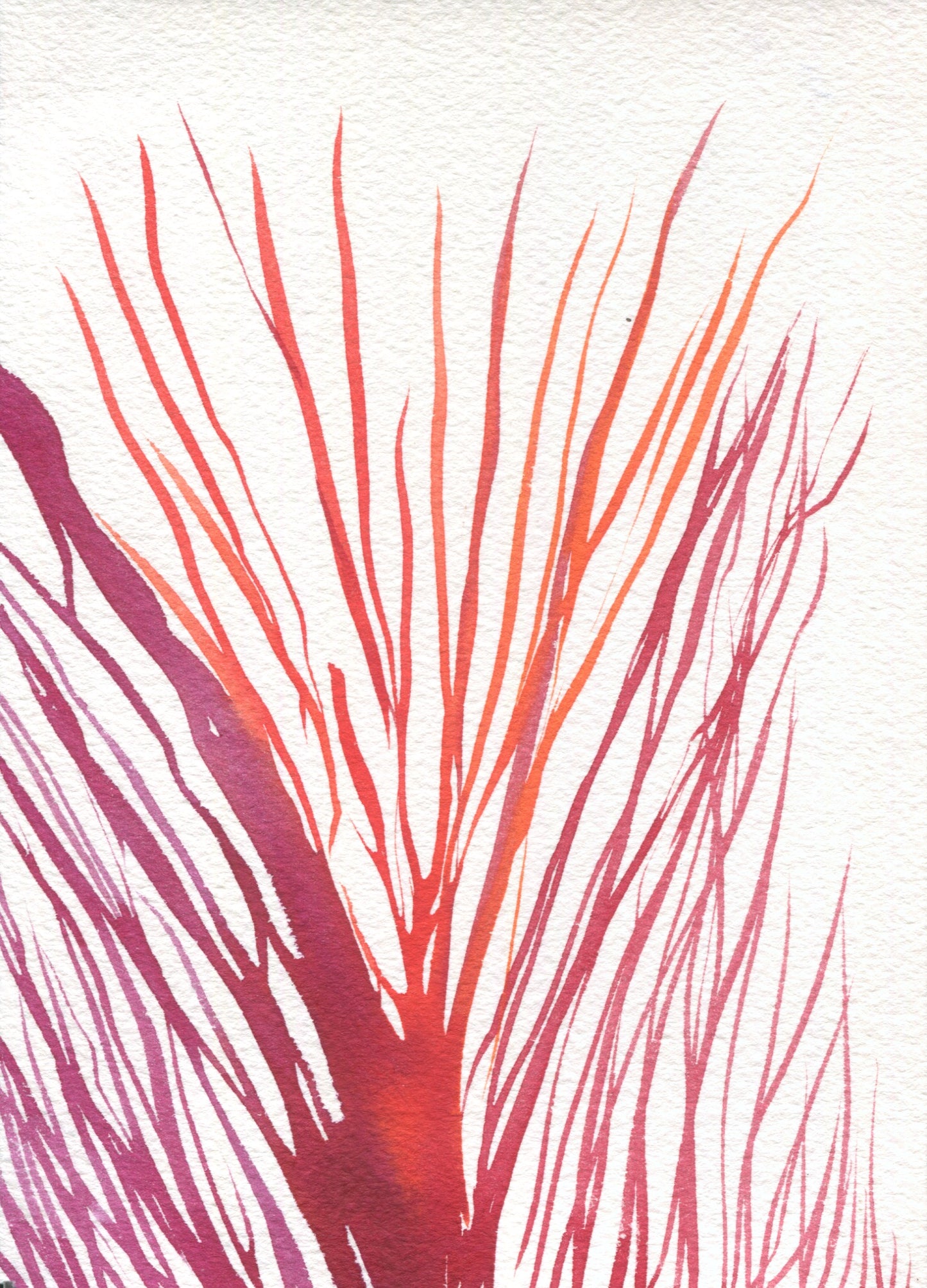 Anne Patterson, Year of Wonder, Jan 8-14, 2020