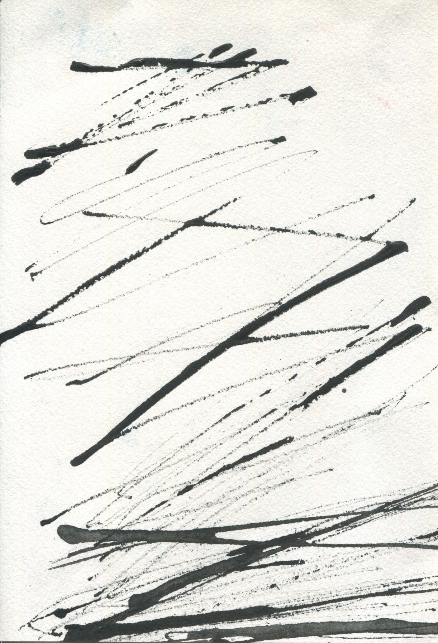 Anne Patterson, Year of Wonder, Jan 8-14, 2020