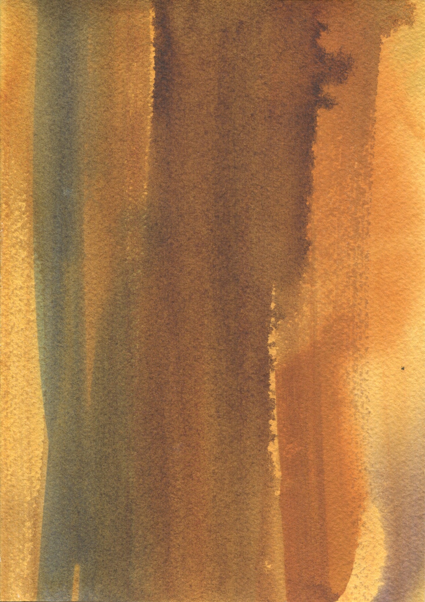 Anne Patterson, Year of Wonder, Jan 8-14, 2020