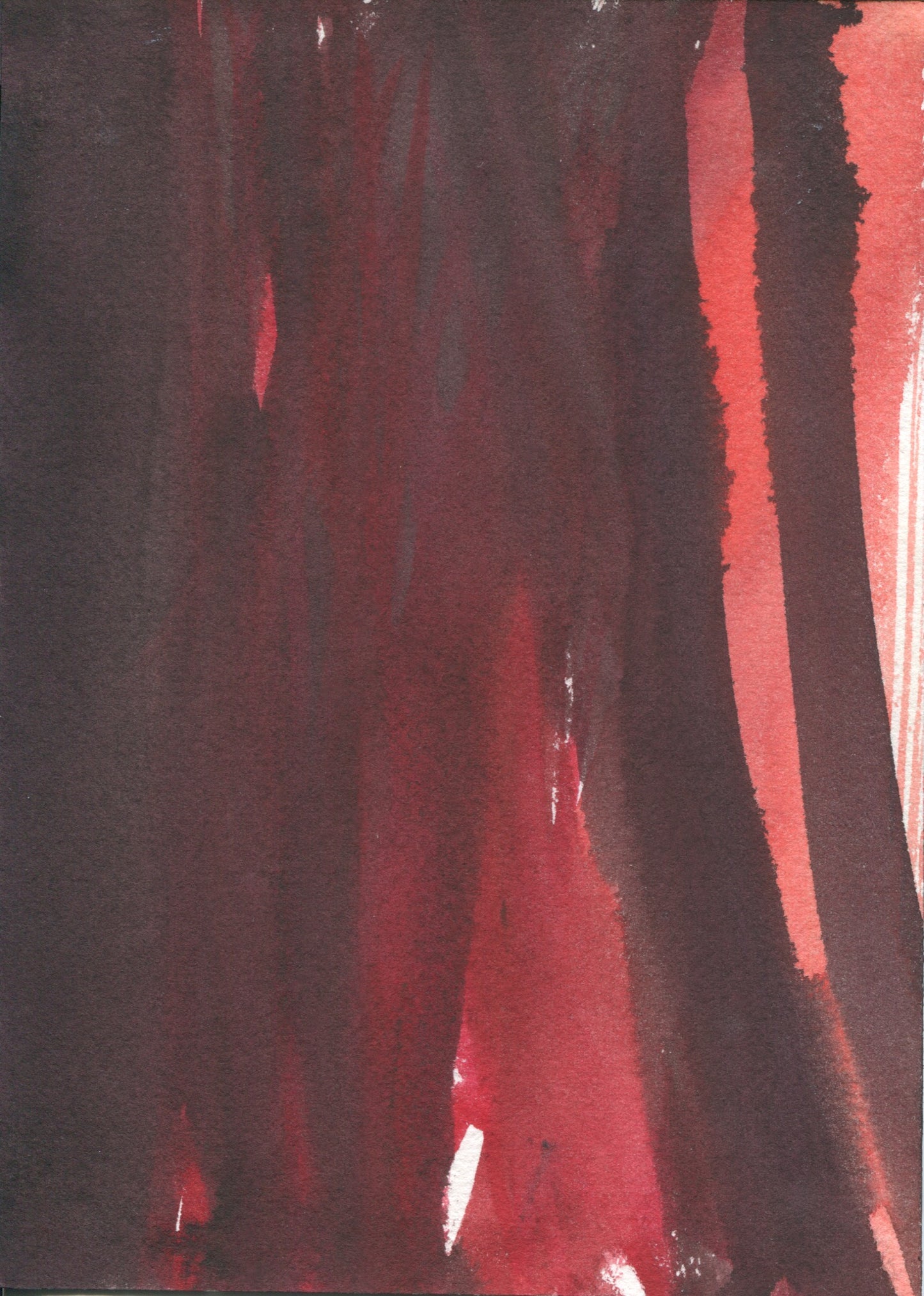 Anne Patterson, Year of Wonder, Jan 8-14, 2020