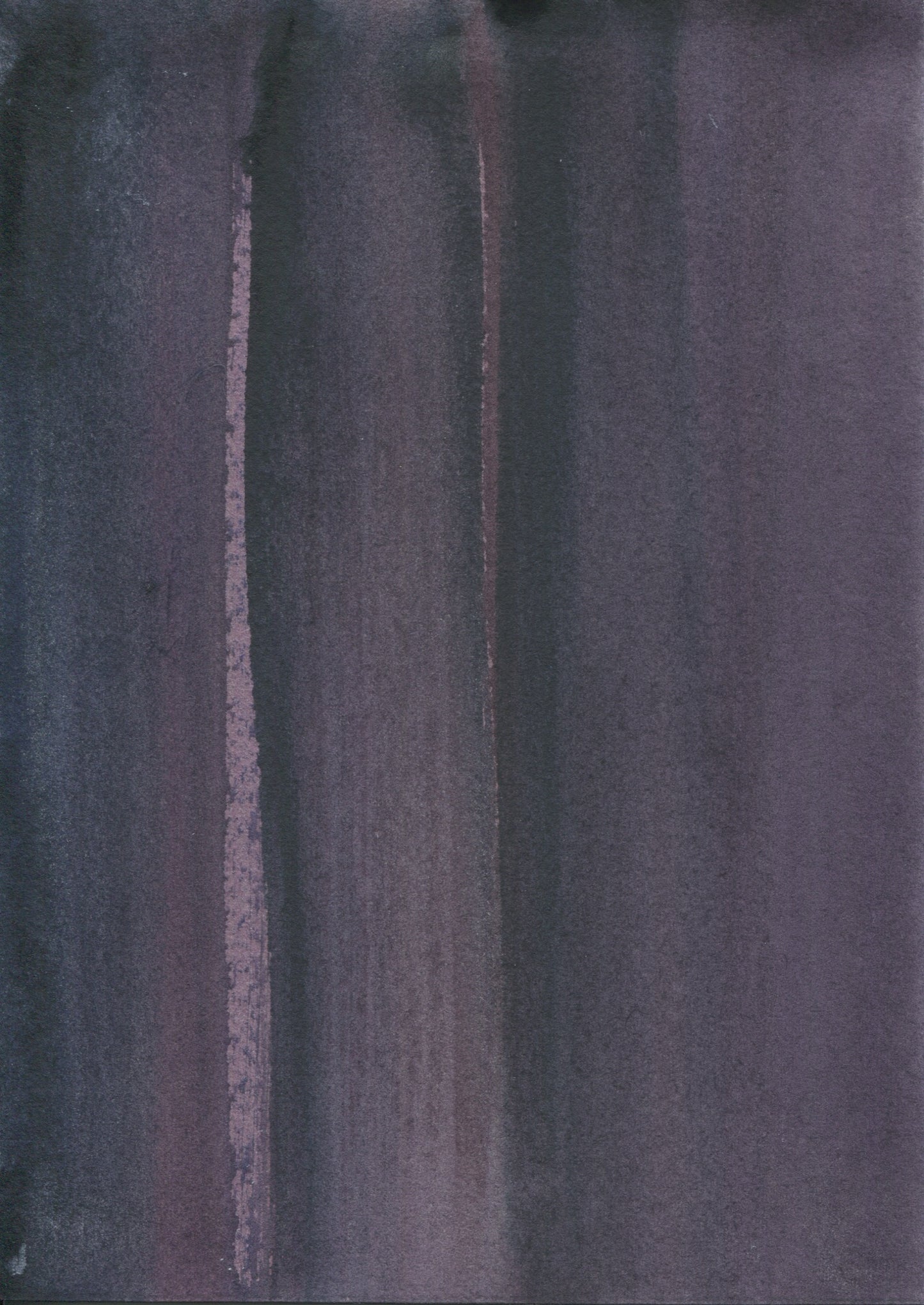 Anne Patterson, Year of Wonder, Jan 15-21, 2020