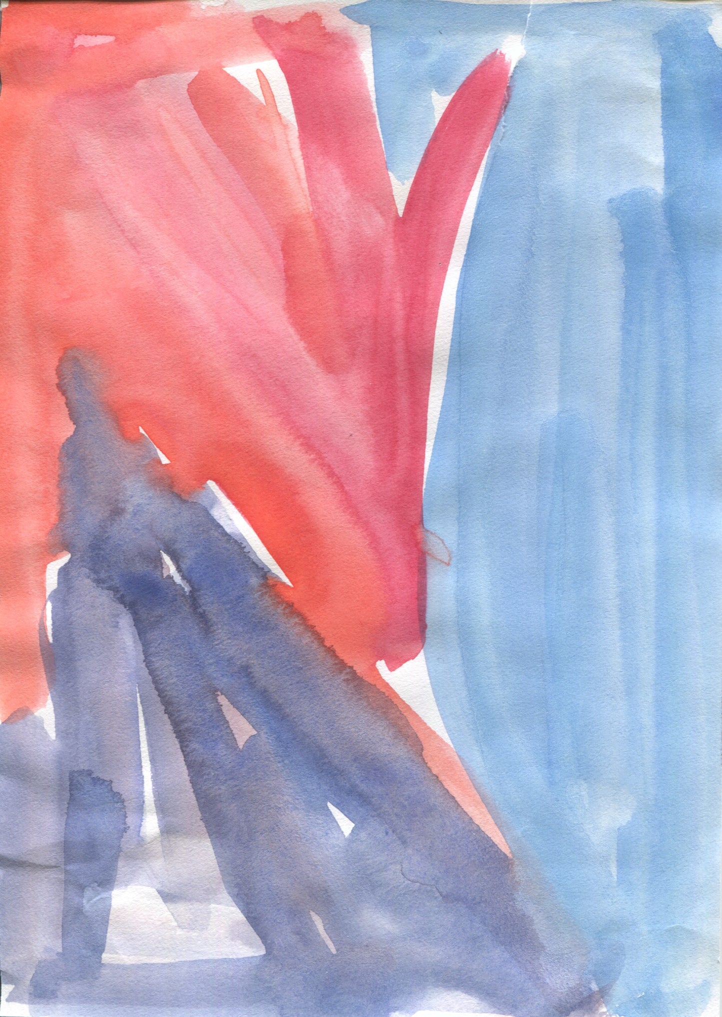 Anne Patterson, Year of Wonder, Jan 15-21, 2020
