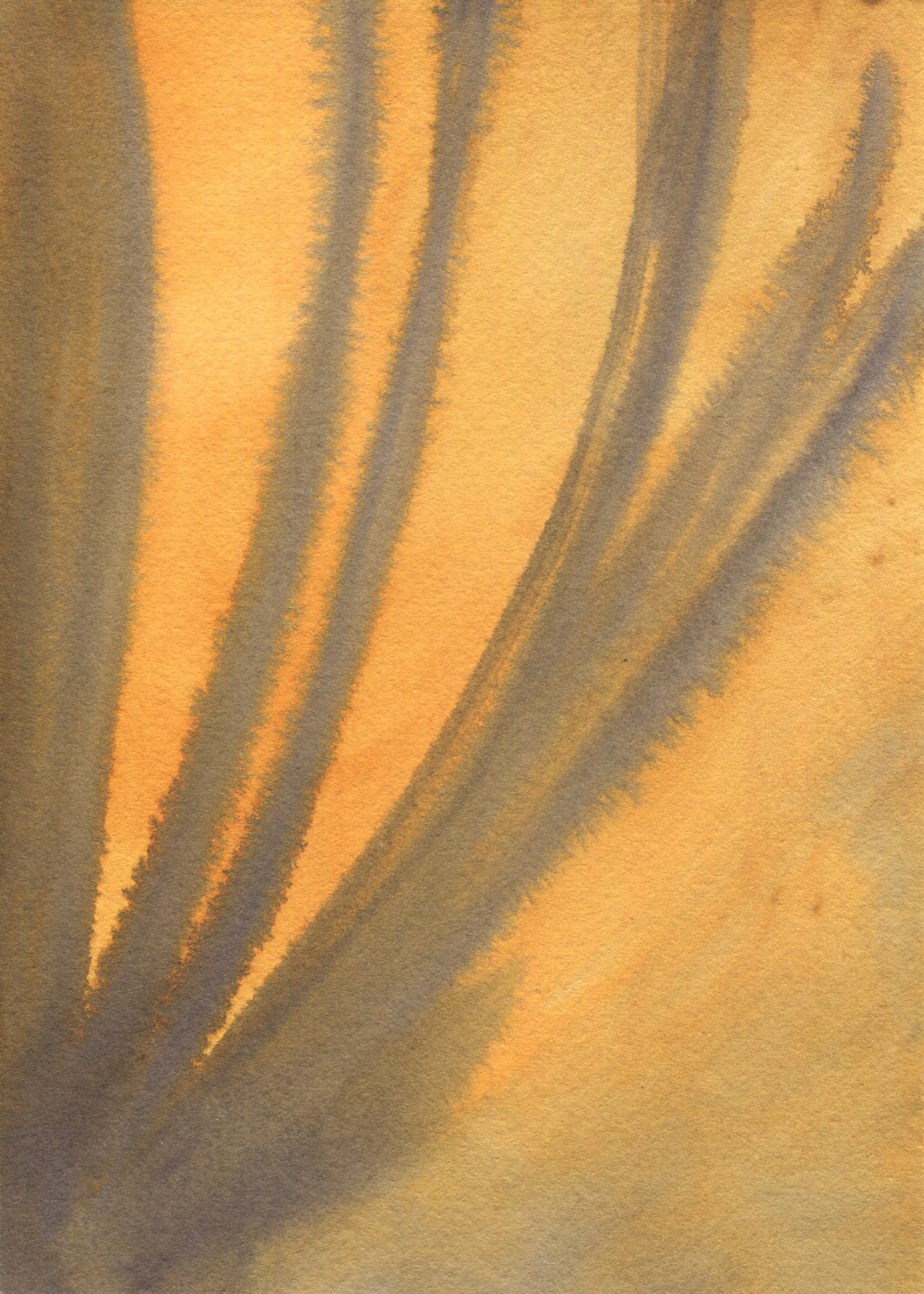 Anne Patterson, Year of Wonder, Jan 22-28, 2020
