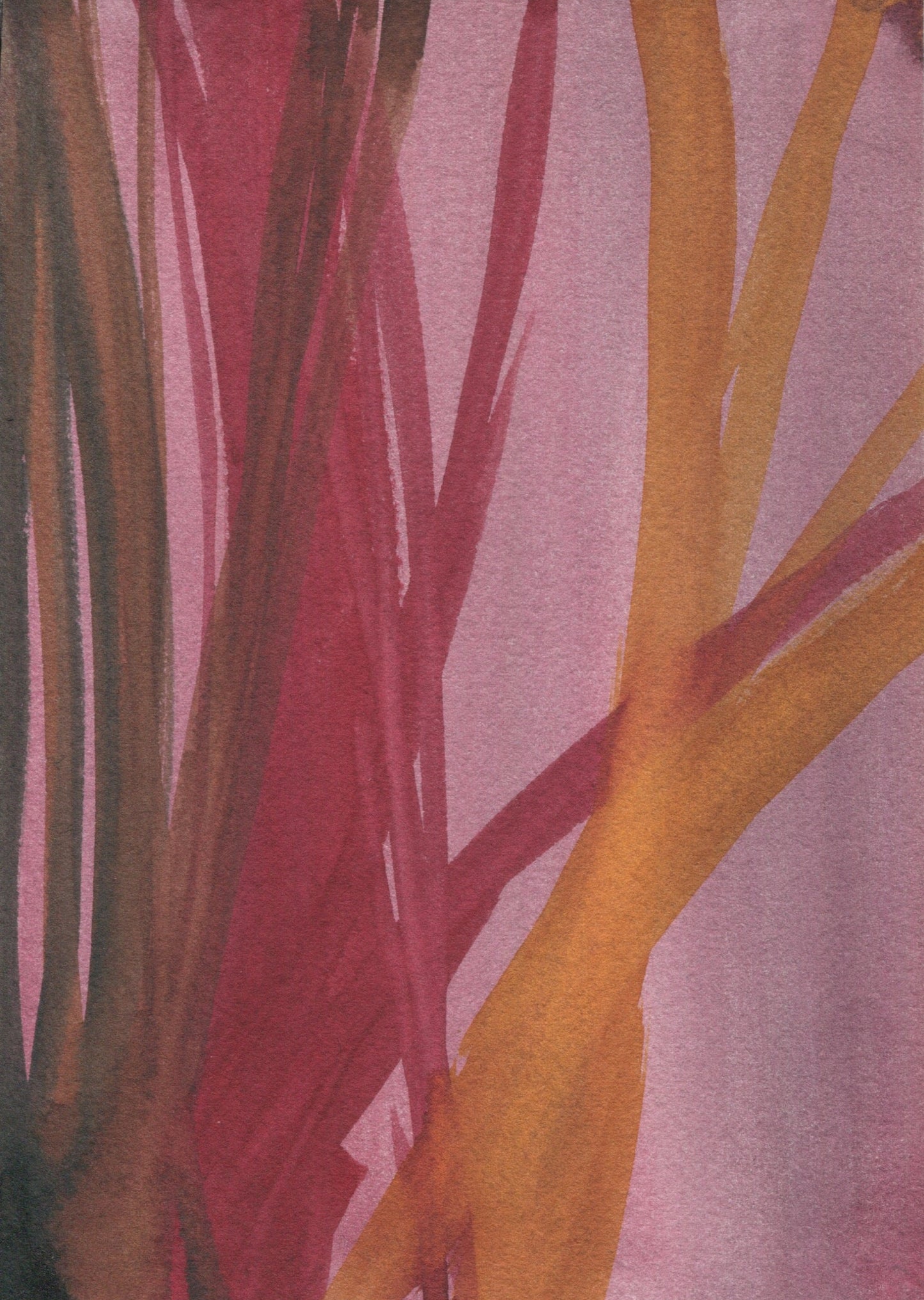 Anne Patterson, Year of Wonder, Jan 29-Feb 4, 2020