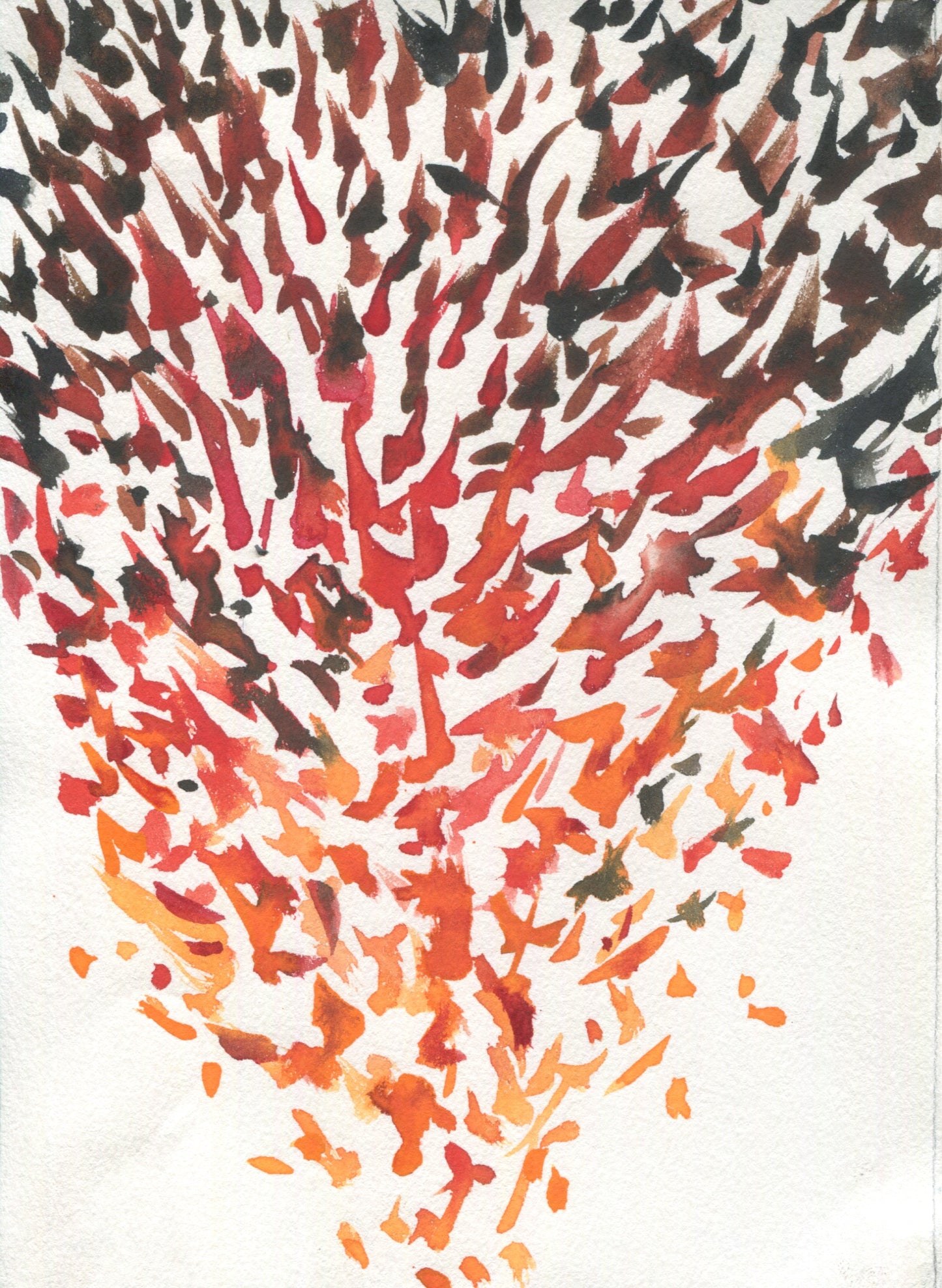 Anne Patterson, Year of Wonder, Feb 5-11, 2020