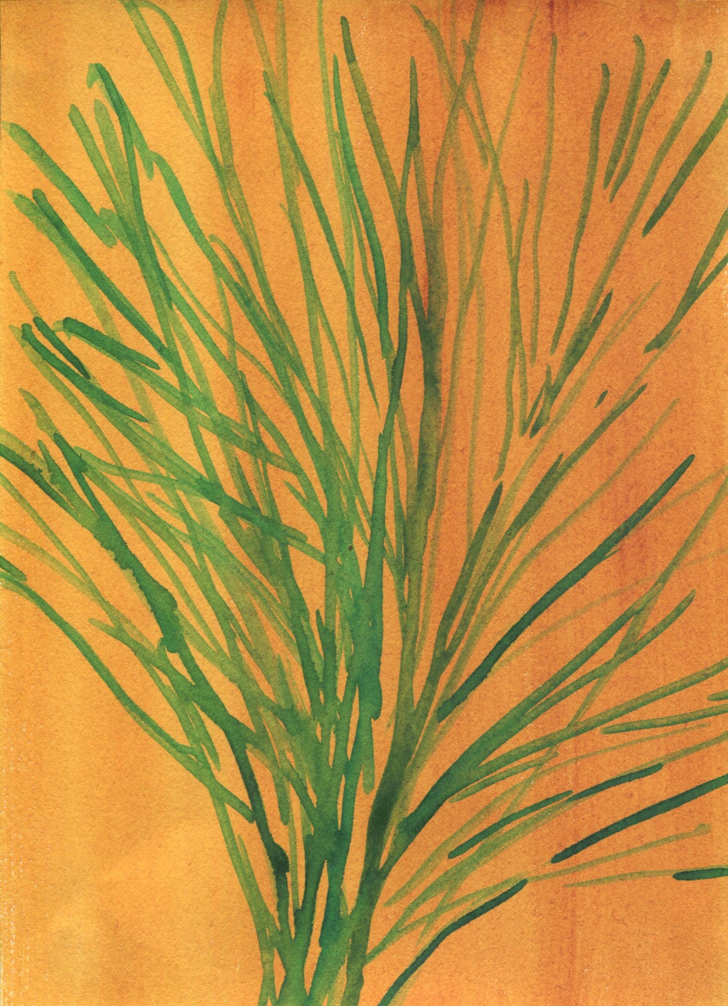 Anne Patterson, Year of Wonder, Feb 5-11, 2020